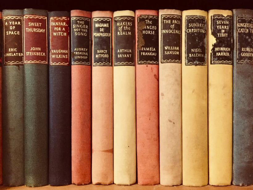 Classic Literature Collection bookshelf - AI book detection demo